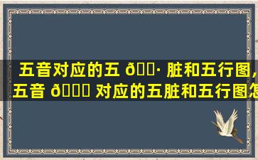五音对应的五 🌷 脏和五行图,五音 🐋 对应的五脏和五行图怎么画